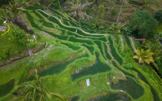 Bali: Templos, Arrozais e Praias Paradisíacas na Indonésia