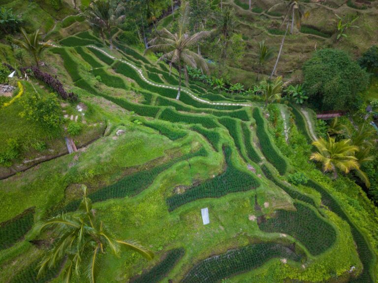 Bali: Templos, Arrozais e Praias Paradisíacas na Indonésia