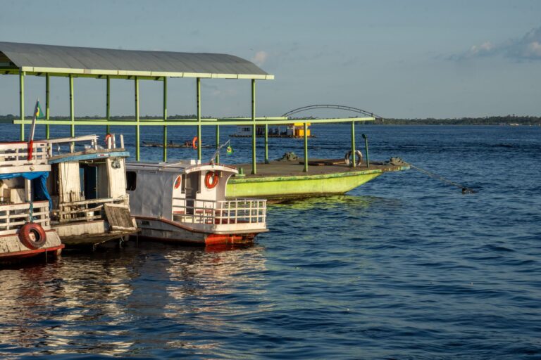Roteiro Manaus e Amazônia: Guia de Viagem Completo na Selva